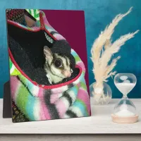 Sugar Glider Wearing a Hat Plaque