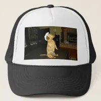 Sitting Pretty or Watching TV Dachshund Trucker Hat