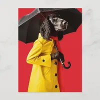 Adorable Dog in a yellow raincoat red background Postcard