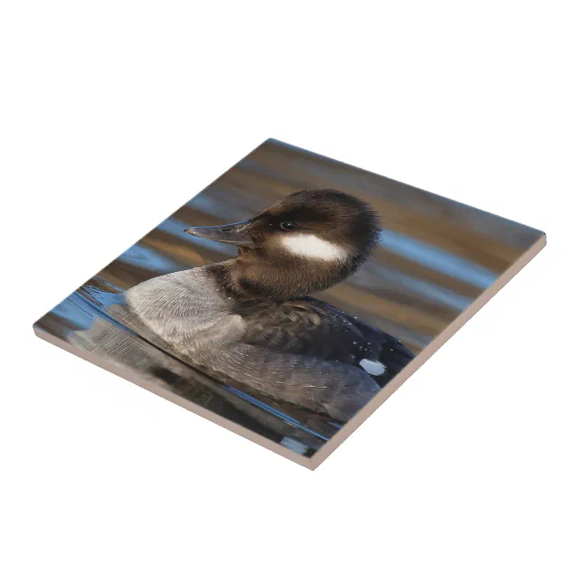 Cute Bufflehead Duck on Sunlit Waters Ceramic Tile