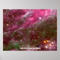 Stars in Tarantula Nebula Pink Hue Value Poster