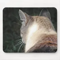 Cat Mouse Pad