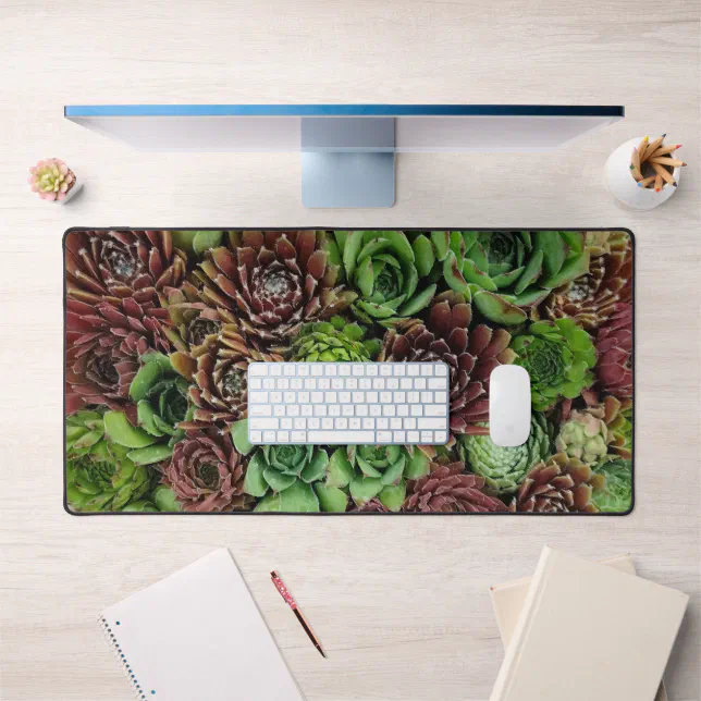 Bird's Eye View of Sempervivum Plants Desk Mat