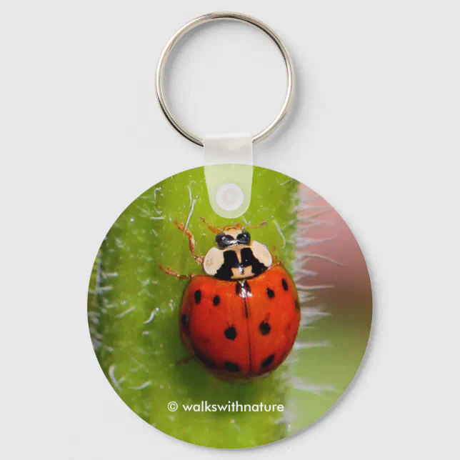 Ladybug Ladybird on Sunflower Stalk Keychain