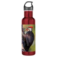 Beautiful Pileated Woodpecker on the Tree Stainless Steel Water Bottle