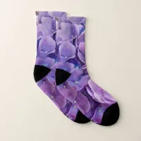 Purple Hydrangea in Mason Jar Photograph Socks