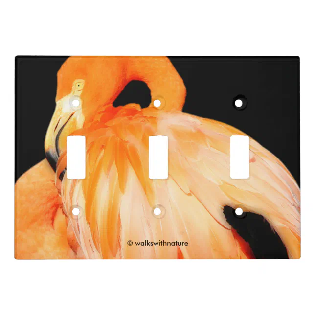 Flamingo in the Summer Sun Light Switch Cover