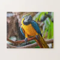 Beautiful Blue and Gold Macaw Jigsaw Puzzle