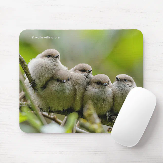 Heartwarming Cute Bushtits Songbirds Family Photo Mouse Pad