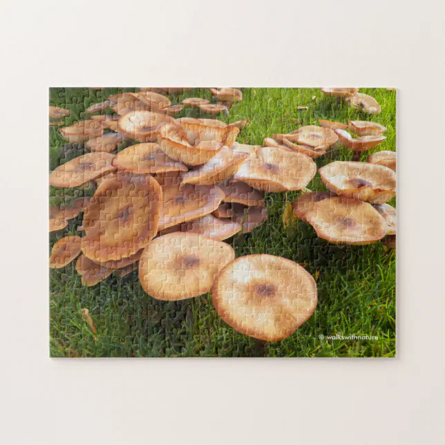 The Fall of Mushrooms Jigsaw Puzzle