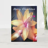 *~* Merry Christmas Cactus Flower Customize Holiday Card