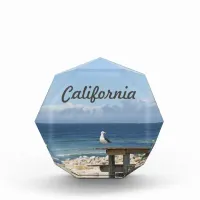 Seagull by the Sea in California Photo Block