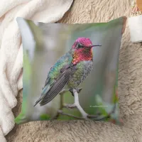 Stunning Anna's Hummingbird in Plum Tree Throw Pillow