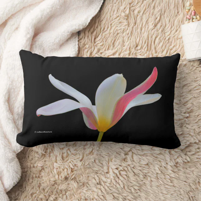Elegant Lady Tulip White Pink Flowers Lumbar Pillow
