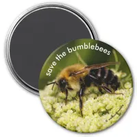 Save the Bumblebees Pollinating Flowering Carrot Magnet