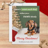 Funny Humor Cute Sausage Dog Dachshund Christmas Holiday Card