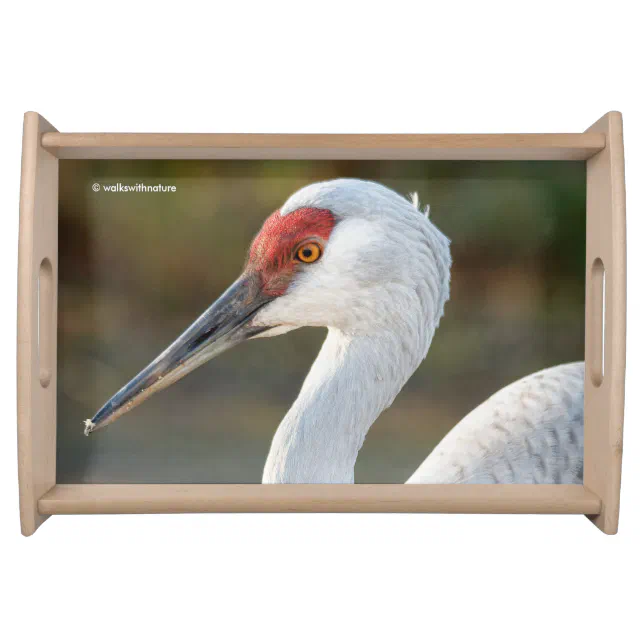 Elegant Profile of a Greater Sandhill Crane Serving Tray