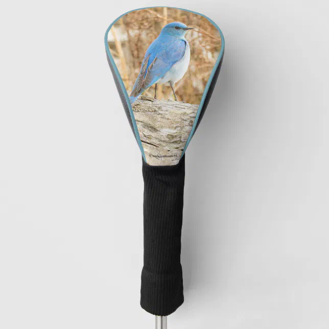 Beautiful Mountain Bluebird Golf Head Cover