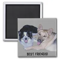 Best Friends Border Collie & German Shepherd Magnet