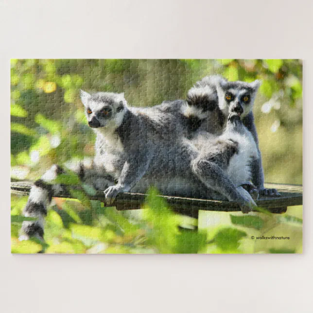 Funny Surprised Lemurs of Madagascar Jigsaw Puzzle