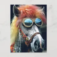 Pony With Clown Hair and Glasses Postcard