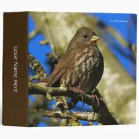 Beautiful Sooty Fox Sparrow in a Pear Tree Binder