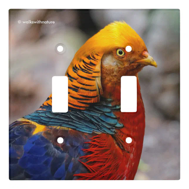 Stunning Profile of a Red Golden Pheasant Light Switch Cover