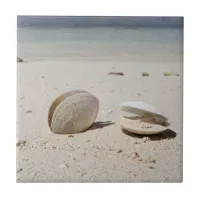 Seashells on sandy Caribbean beach close-up Ceramic Tile