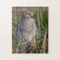 Profile of a Northern Harrier Jigsaw Puzzle