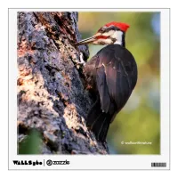 Beautiful Pileated Woodpecker on the Tree Wall Decal