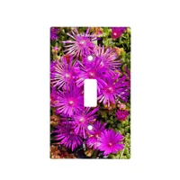 Beautiful Purple Iceplants Light Switch Cover