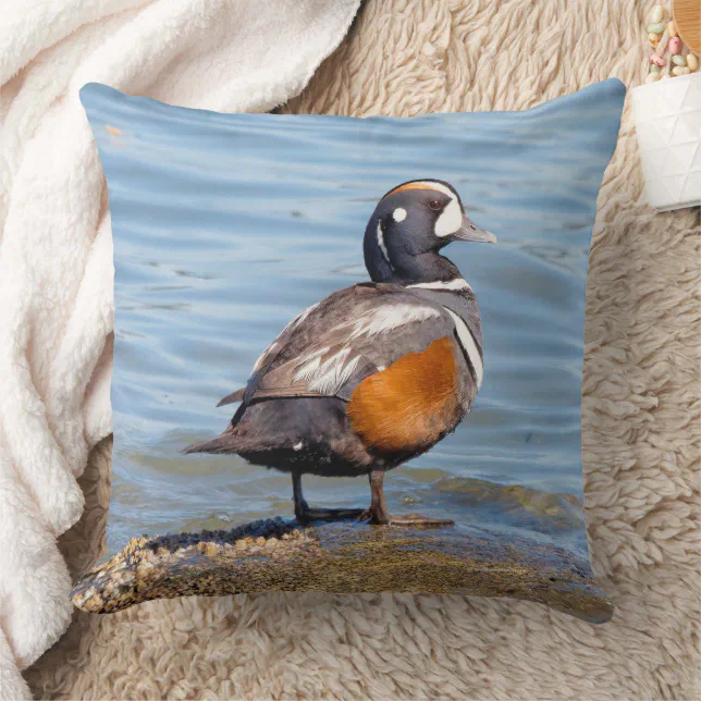 Beautiful Harlequin Duck on Beach Shoreline Throw Pillow