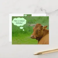 Moo! Cute cow wishes a relaxed birthday Postcard