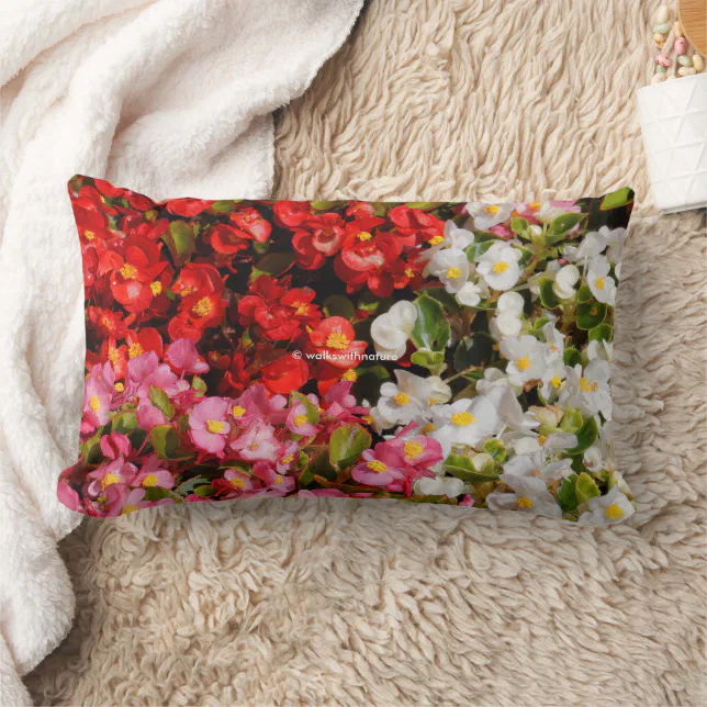 Colorful Floral Medley of Wax Begonias Lumbar Pillow