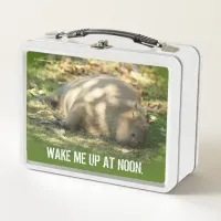 Cute Capybara Dreams in the Summer Sun Metal Lunch Box