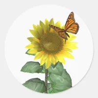 Pretty Yellow Sunflower and Orange Butterfly