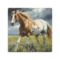 A Gorgeous Pinto Horse in the Meadow Metal Print