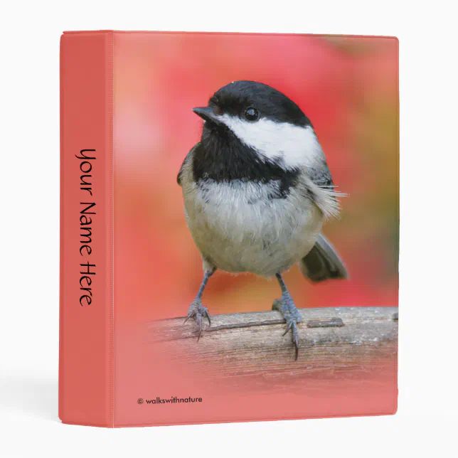 Cute Black-Capped Chickadee on the Apple Tree Mini Binder