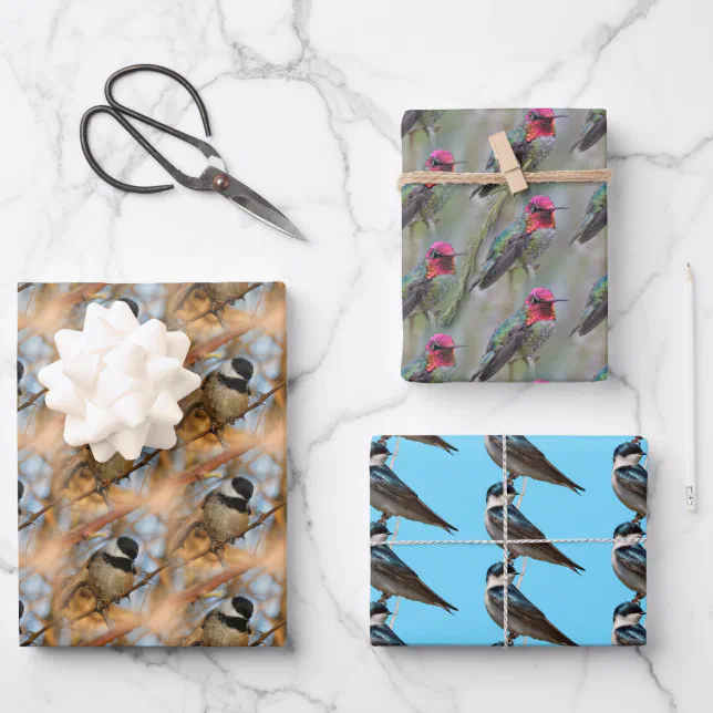 Chickadee / Anna's Hummingbird / Tree Swallow Wrapping Paper Sheets