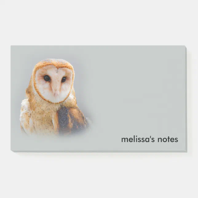 Serene Beautiful Barn Owl Raptor Bird of Prey Post-it Notes