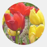 Tulips of Summer Sticker