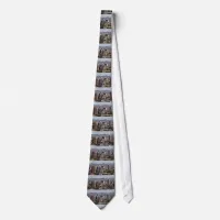 Downtown View of Phoenix, Arizona Tie