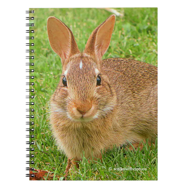 Cute Bunny Chewing Greens on the Golf Fairway Notebook