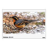 Beautiful Varied Thrush Songbird in the Snow Wall Decal
