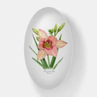 Orange Daylily Paperweight