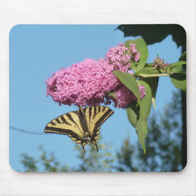 Yellow Tiger Swallowtail on Pink Butterfly Bush Fl Mouse Pad