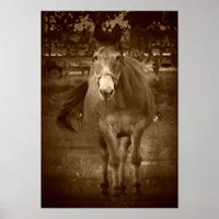 Sepia Hello There Poster