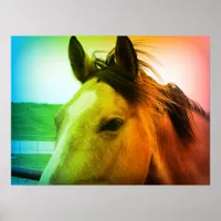 Rainbow Colored Buckskin Poster