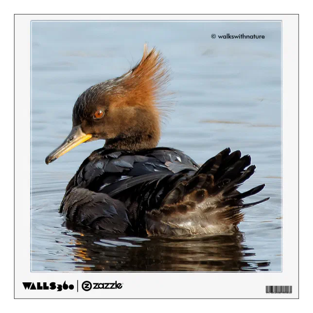 Hooded Merganser: I Never Have Bad Hair Days Wall Sticker