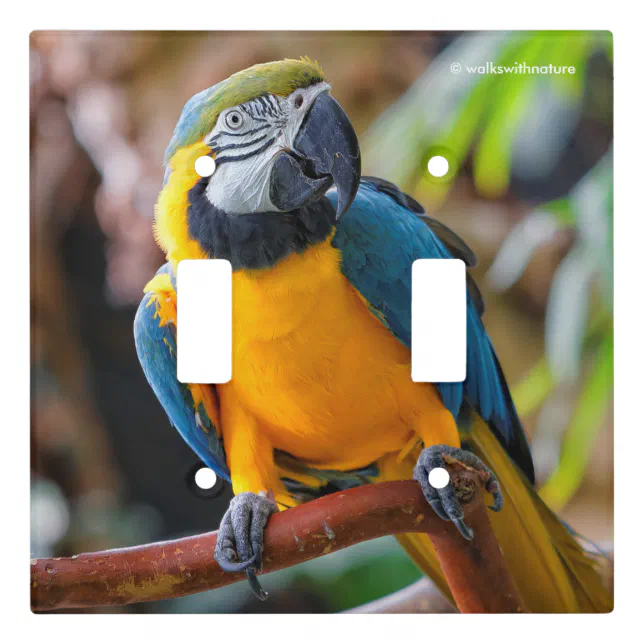 Beautiful Blue and Gold Macaw Light Switch Cover